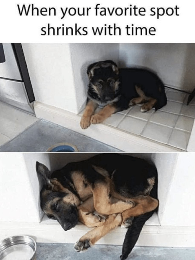 When your favorite spot shrinks with time
