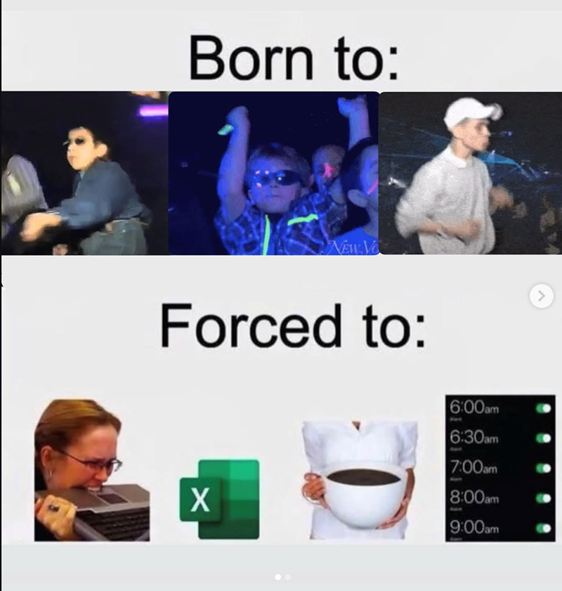 Born to: NEW VO Forced to: 6:00am 6:30am 7:00am 8:00am X 24 9:00am