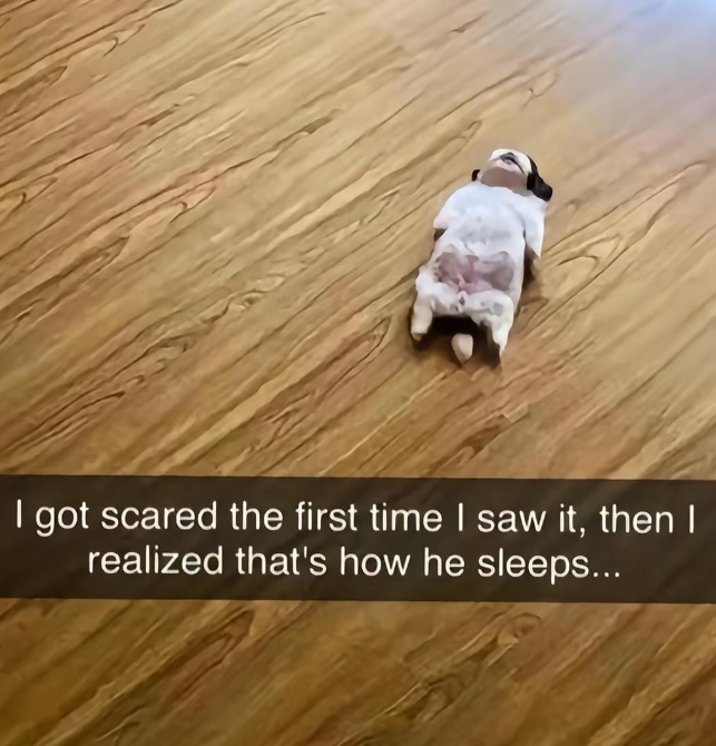 I got scared the first time I saw it, then I realized that's how he sleeps...