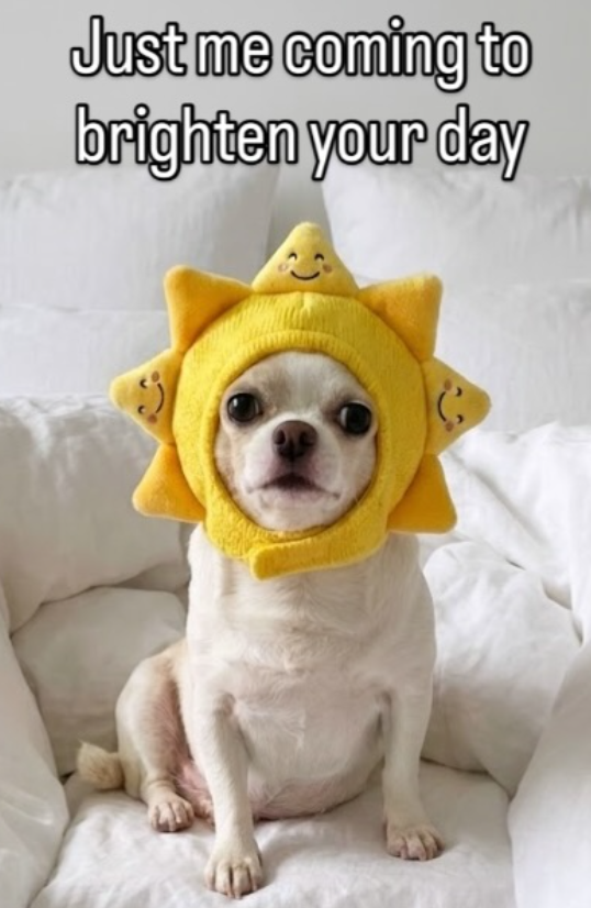 Just me coming to brighten your day
