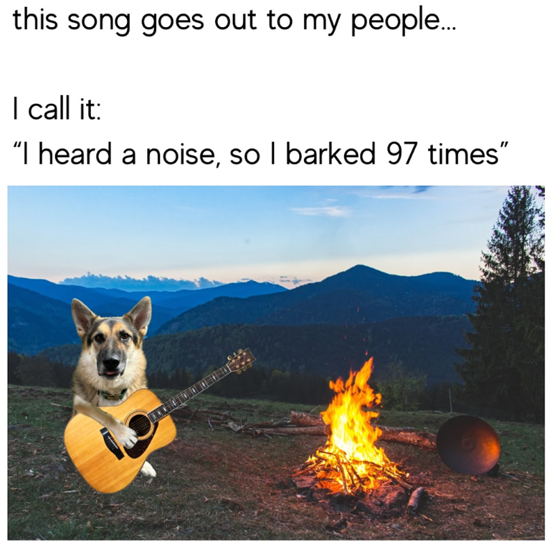 this song goes out to my people... I call it: "I heard a noise, so I barked 97 times"