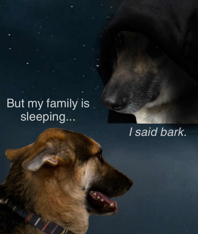 But my family is sleeping... I said bark.