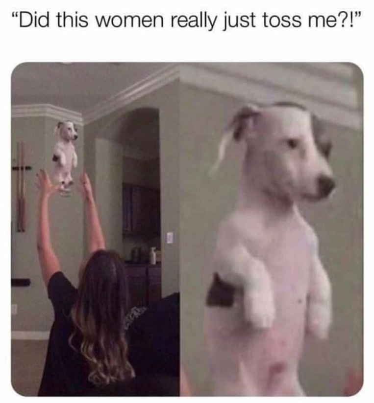 "Did this women really just toss me?!"