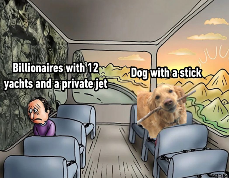 Billionaires with 12 JUL yachts and a private jet Dog with a stick