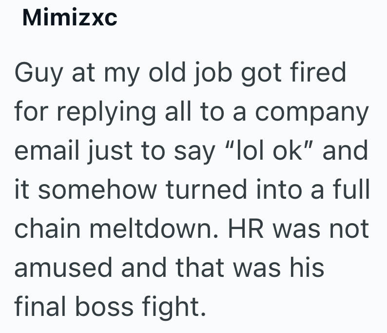 Mimizxc Guy at my old job got fired for replying all to a company email just to say "lol ok" and it somehow turned into a full chain meltdown. HR was not amused and that was his final boss fight.