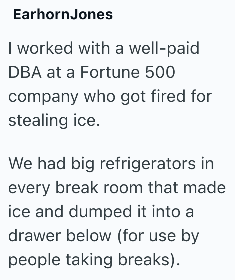Earhorn Jones I worked with a well-paid DBA at a Fortune 500 company who got fired for stealing ice. We had big refrigerators in every break room that made ice and dumped it into a drawer below (for use by people taking breaks).