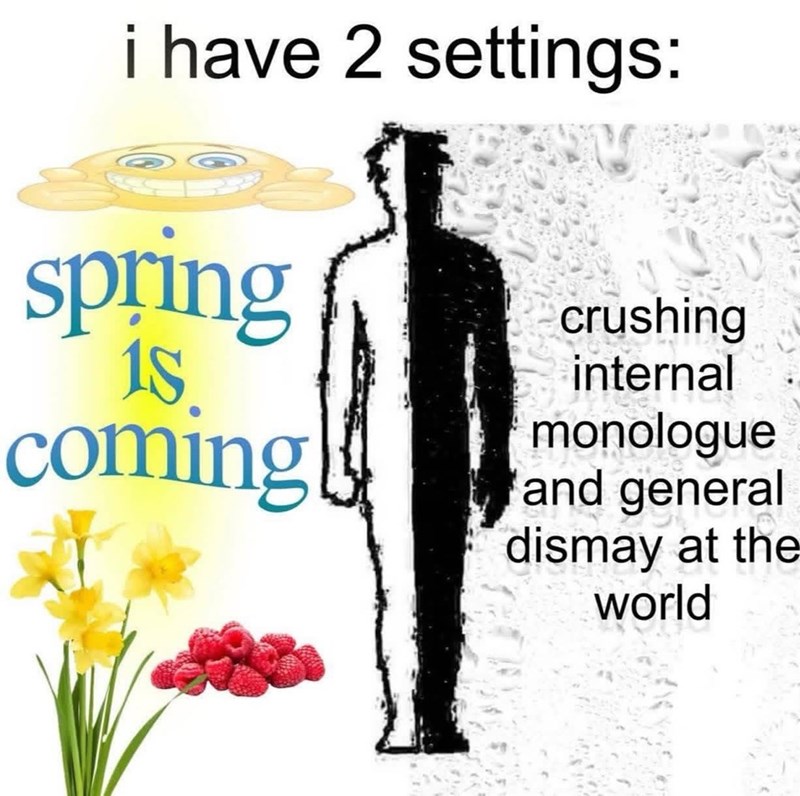 i have 2 settings: spring 1S coming crushing internal monologue and general dismay at the world