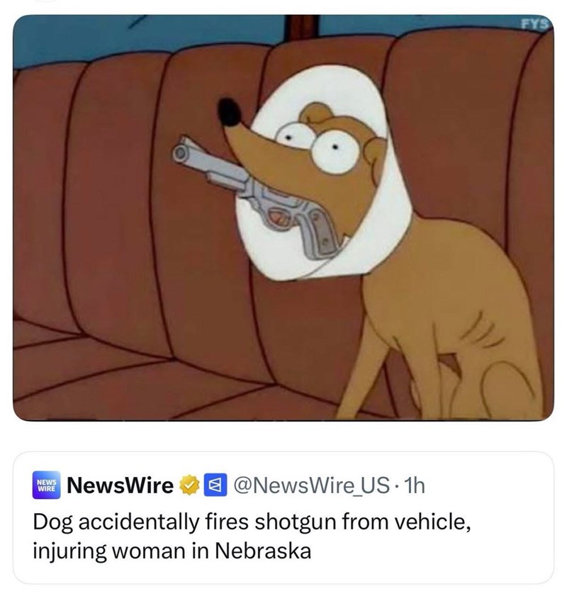 NEWS WIRE NewsWire ⭑@NewsWire_US.1h Dog accidentally fires shotgun from vehicle, injuring woman in Nebraska FYS