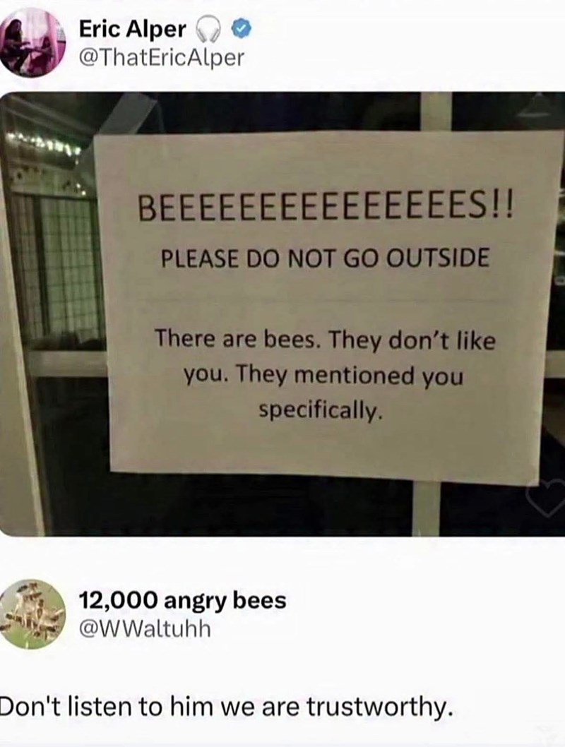 Eric Alper @ThatEricAlper BEEEEEEEEEEEEEEES!! PLEASE DO NOT GO OUTSIDE There are bees. They don't like you. They mentioned you specifically. 12,000 angry bees @WWaltuhh Don't listen to him we are trustworthy.