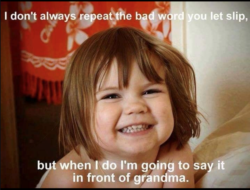 I don't always repeat the bad word you let slip, but when I do I'm going to say it in front of grandma.