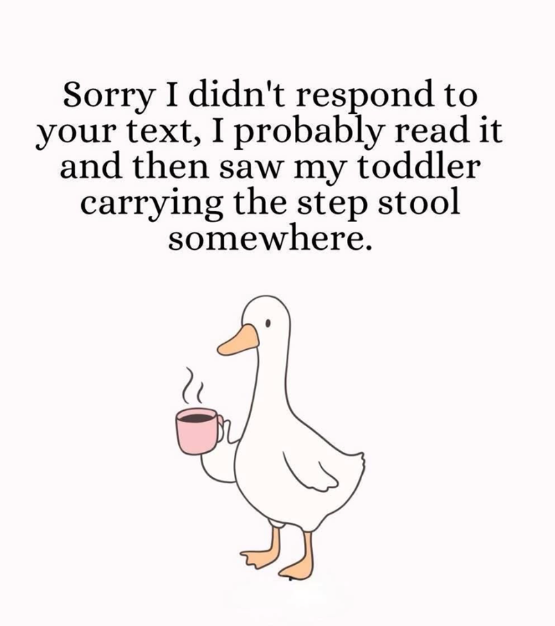 Sorry I didn't respond to your text, I probably read it and then saw my toddler carrying the step stool somewhere.