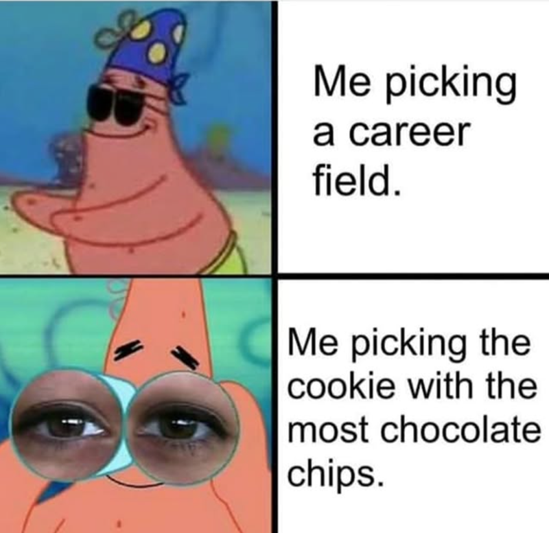 Me picking a career field. Me picking the cookie with the most chocolate chips.