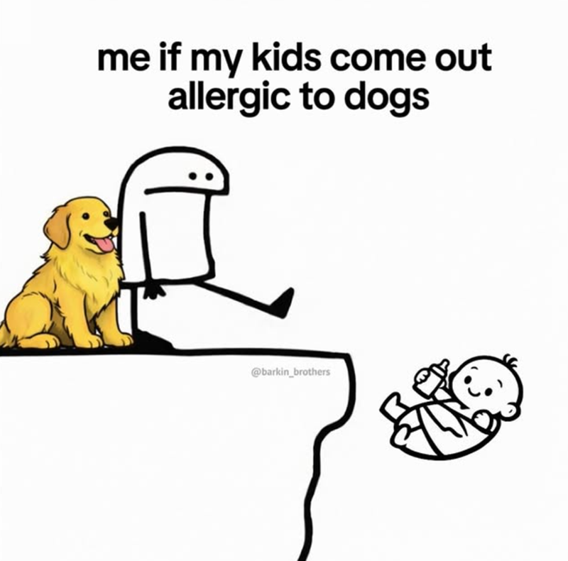 me if my kids come out allergic to dogs @barkin_brothers