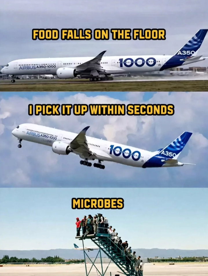 FOOD FALLS ON THE FLOOR AIRBUS A350-1000 A350 1000 O PICK IT UP WITHIN SECONDS AIRBUS A350-1000 1000 A350 MICROBES