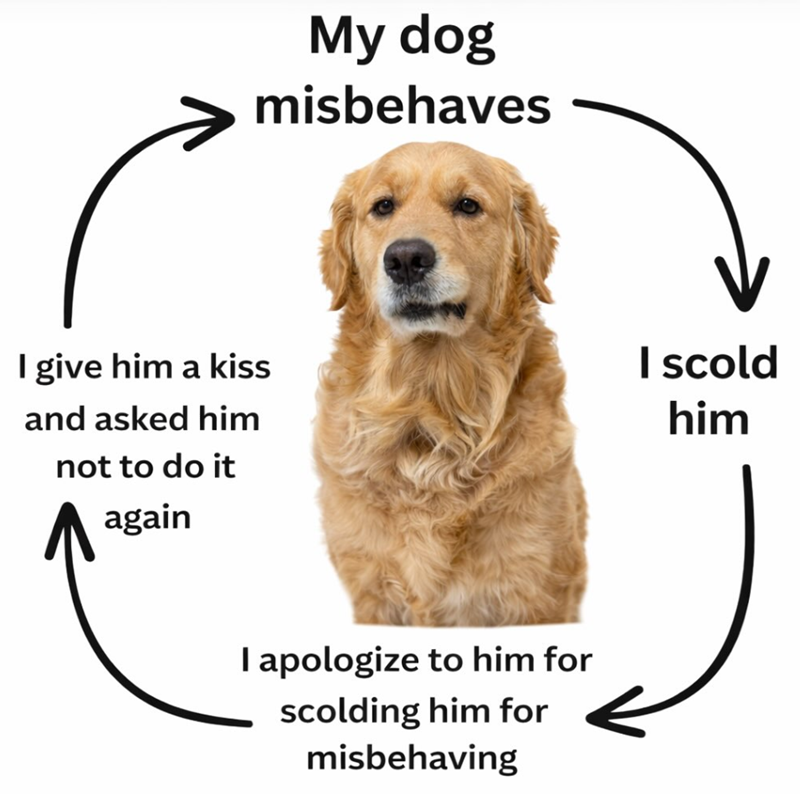 I give him a kiss and asked him not to do it again My dog misbehaves I apologize to him for scolding him for misbehaving I scold him