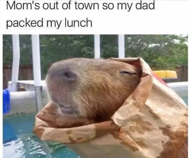 Mom's out of town so my dad packed my lunch