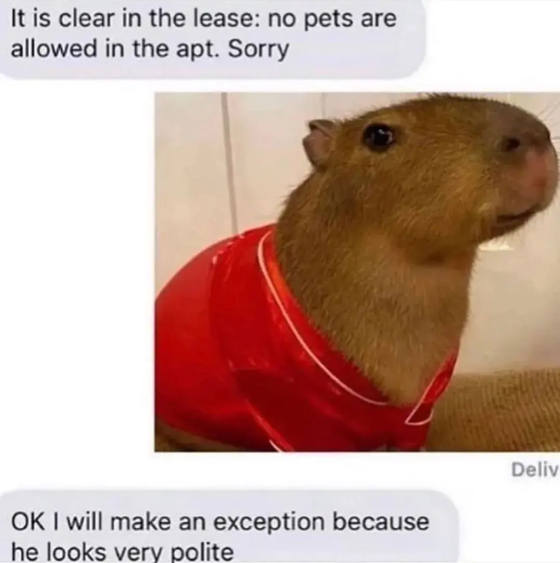 It is clear in the lease: no pets are allowed in the apt. Sorry OK I will make an exception because he looks very polite Deliv