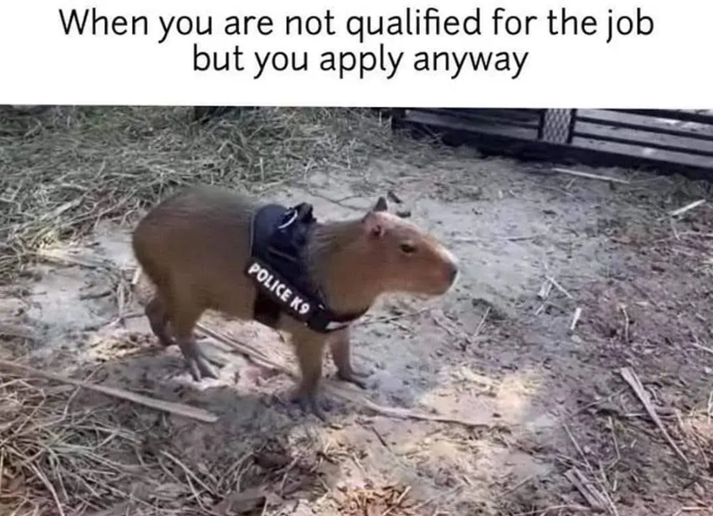 When you are not qualified for the job but you apply anyway POLICE K9