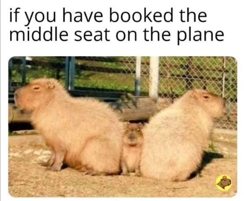 if you have booked the middle seat on the plane
