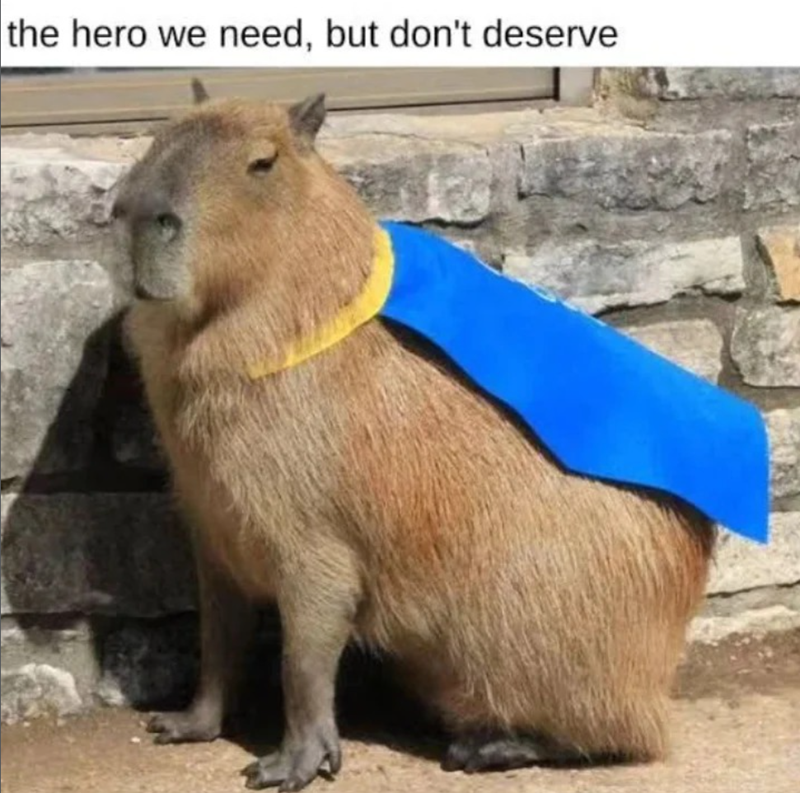 the hero we need, but don't deserve