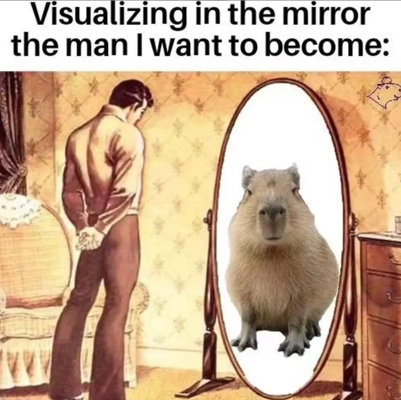 Visualizing in the mirror the man I want to become: