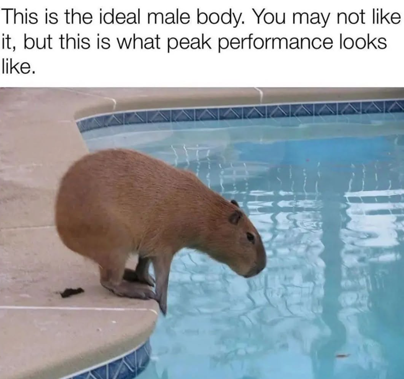 This is the ideal male body. You may not like it, but this is what peak performance looks like.