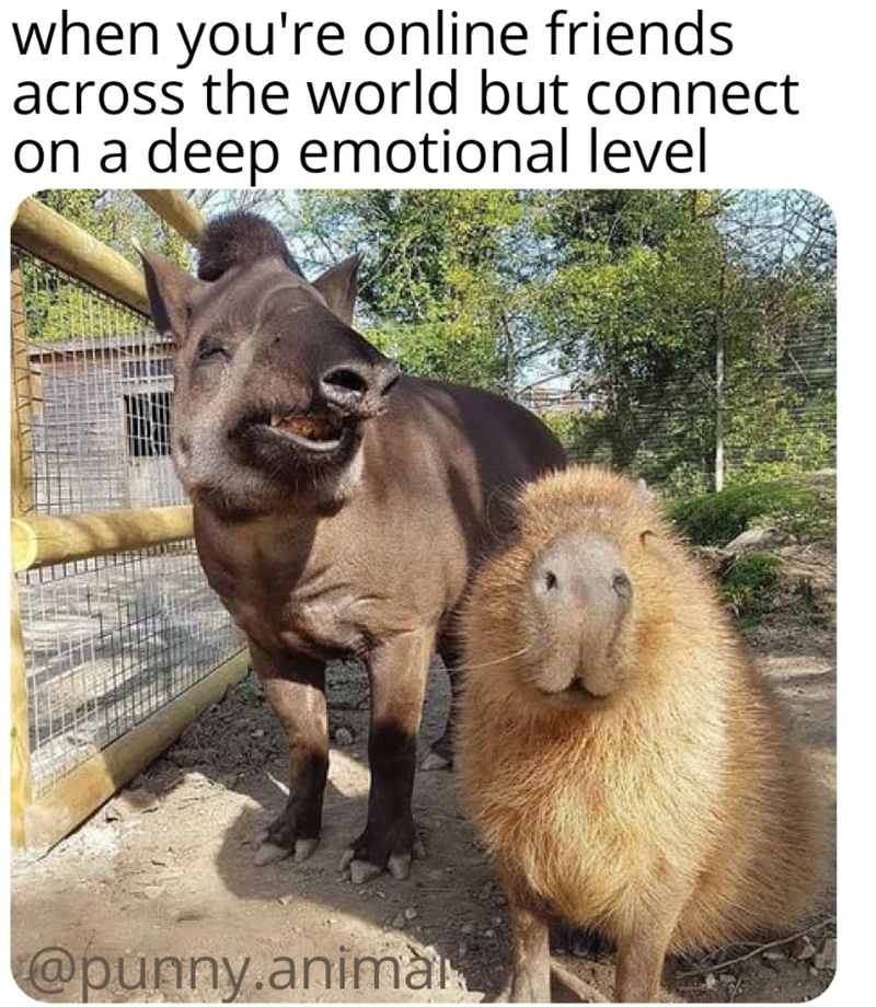 when you're online friends. across the world but connect on a deep emotional level @punny.anima