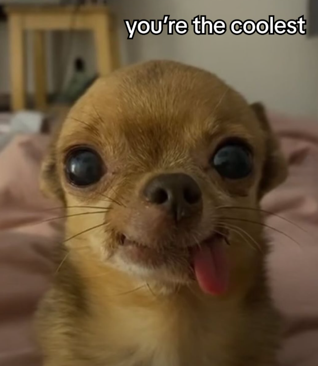 you're the coolest