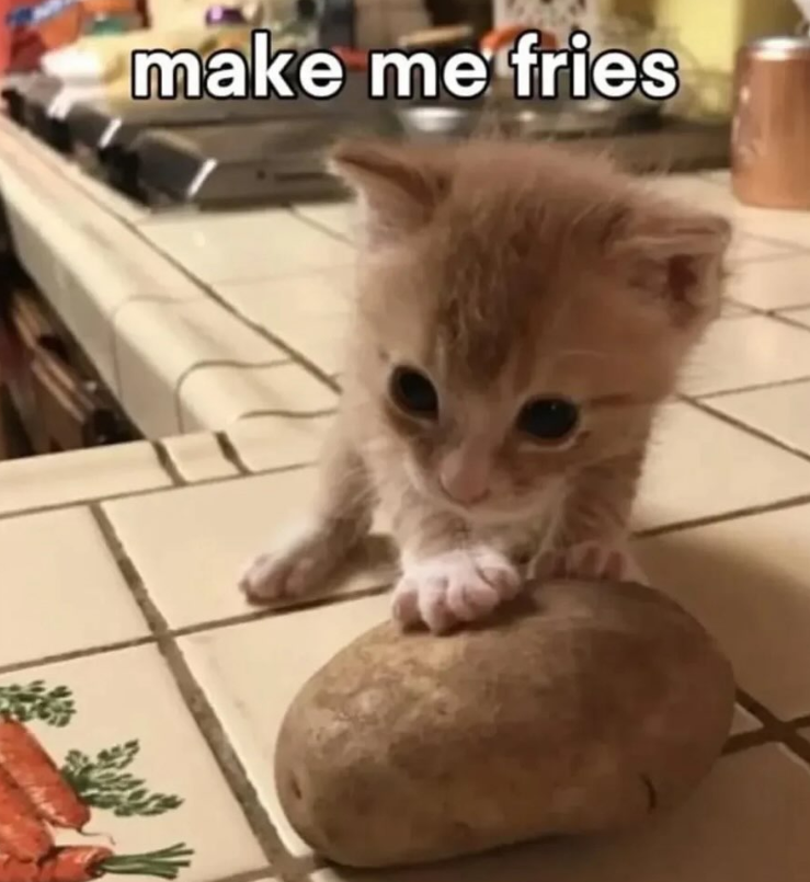 make me fries