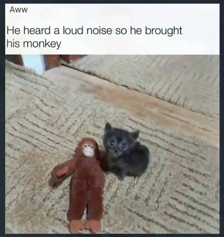 Aww He heard a loud noise so he brought his monkey