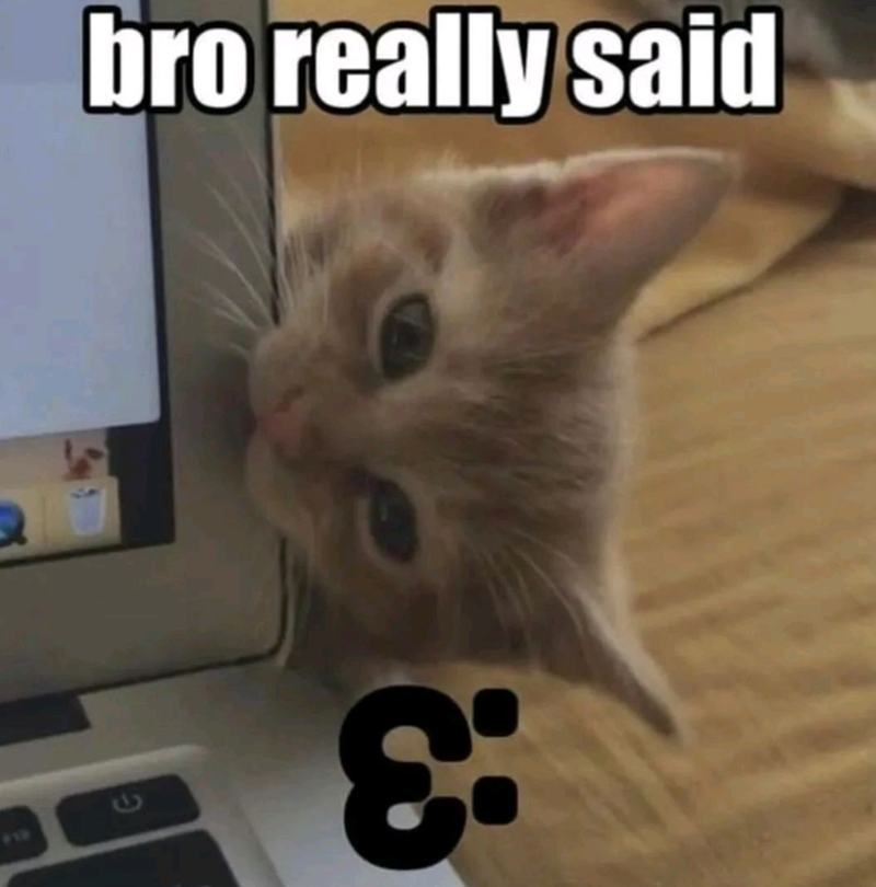 919 ن bro really said