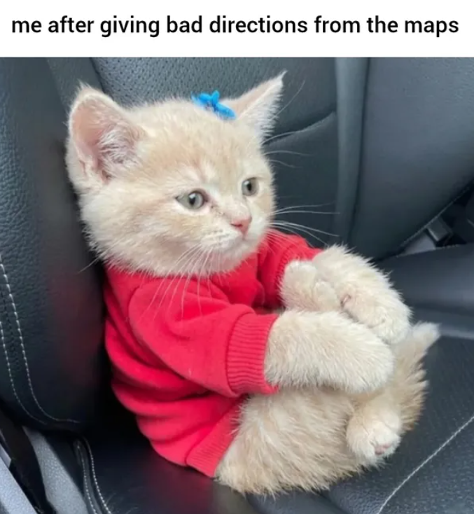 me after giving bad directions from the maps