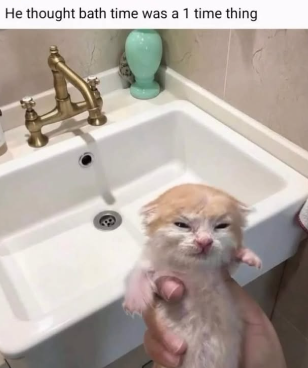 He thought bath time was a 1 time thing 8