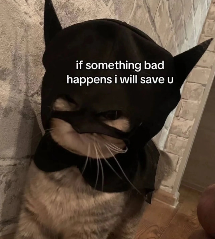 if something bad happens i will save u