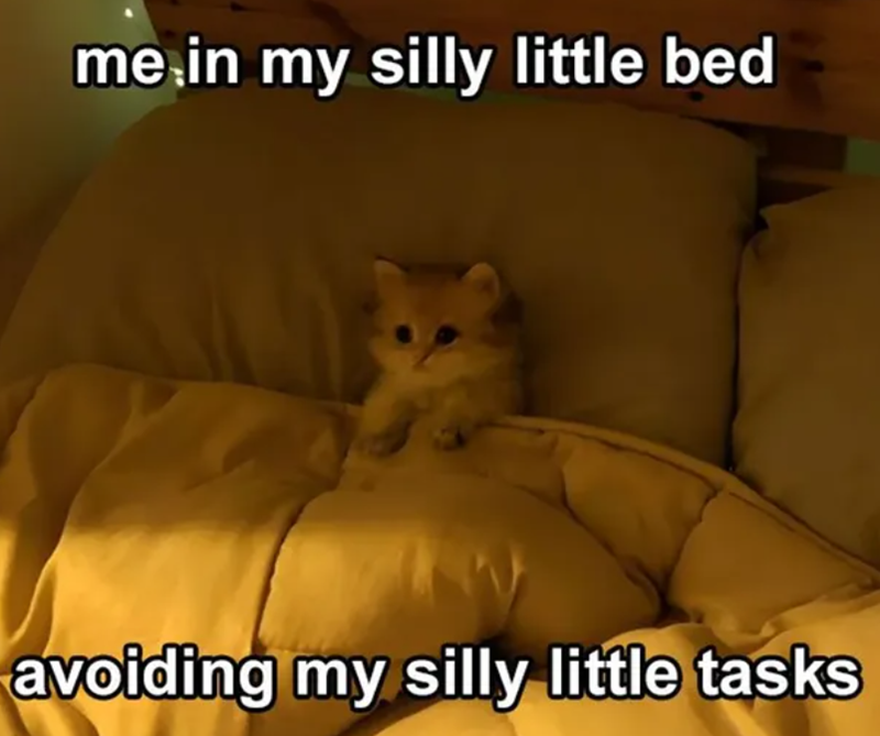 me in my silly little bed avoiding my silly little tasks