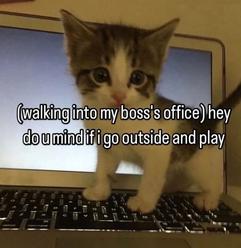 (walking into my boss's office) hey do u mind if i go outside and play