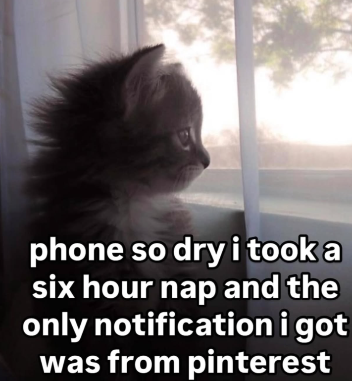 phone so dry i took a six hour nap and the only notification i got was from pinterest