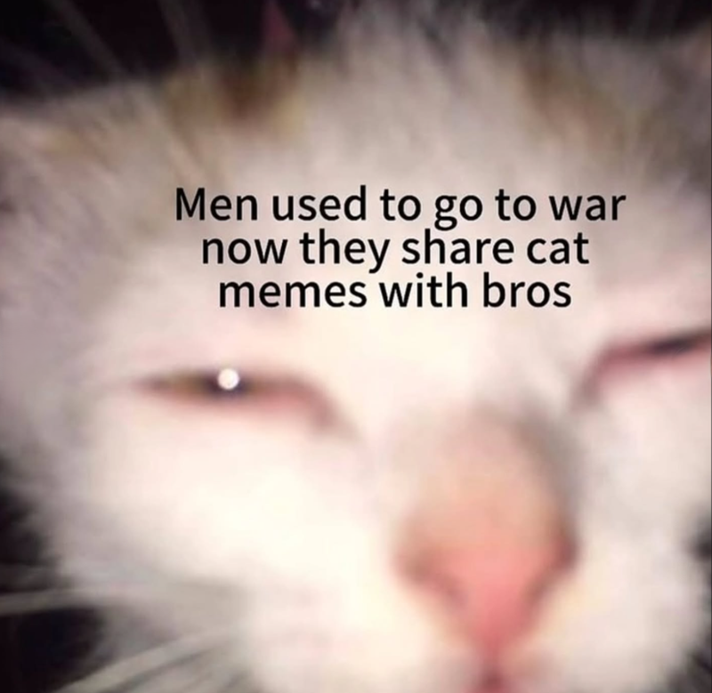 Men used to go to war now they share cat memes with bros