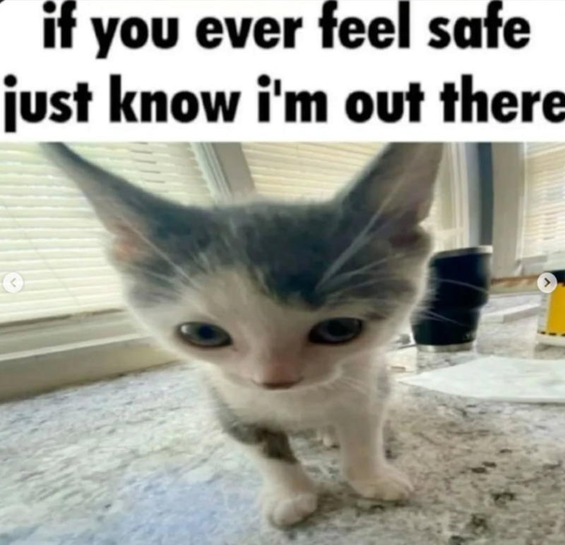 if you ever feel safe just know i'm out there