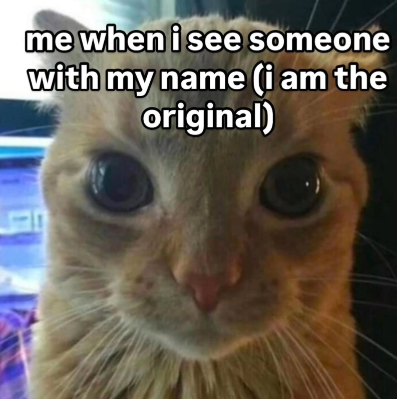 me when i see someone with my name (i am the original)