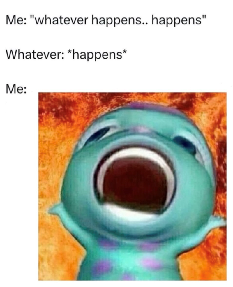 Me: "whatever happens.. happens" Whatever: *happens* Me: