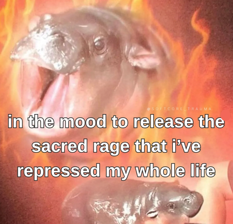 @SOFTCORE TRAUMA in the mood to release the sacred rage that i've repressed my whole life