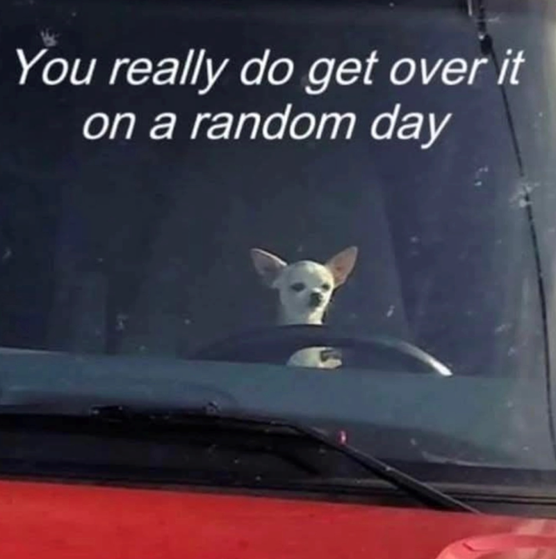 You really do get over it on a random day