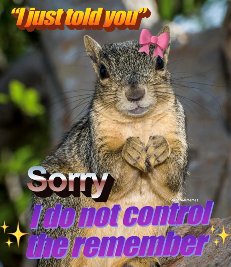 "Tjust told you Sorry @actualmemes do not control the remember