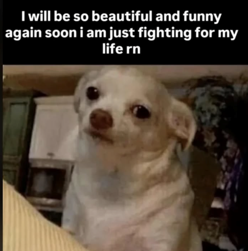 I will be so beautiful and funny again soon i am just fighting for my life rn