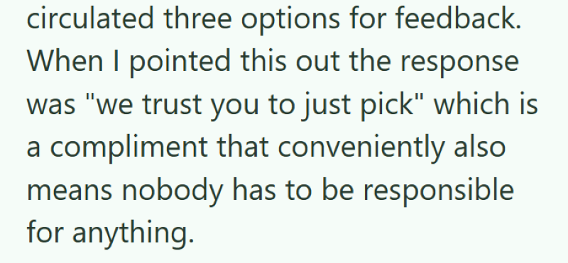 circulated three options for feedback. When I pointed this out the response was "we trust you to just pick" which is a compliment that conveniently also means nobody has to be responsible for anything.