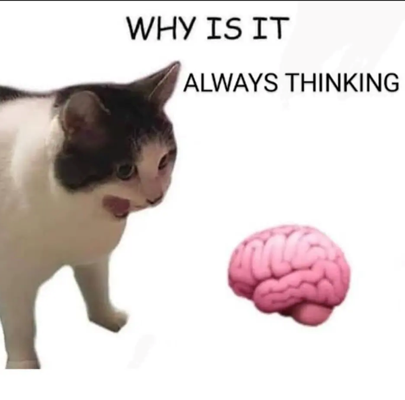 WHY IS IT ALWAYS THINKING