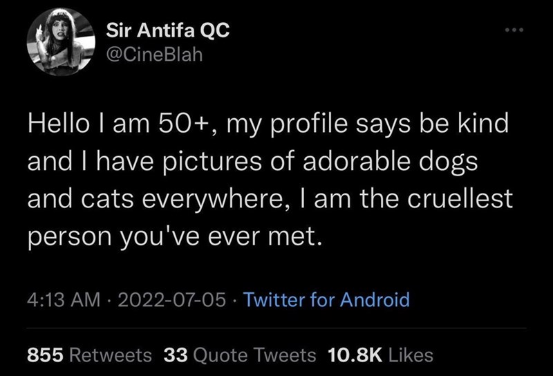 Sir Antifa QC @CineBlah Hello I am 50+, my profile says be kind and I have pictures of adorable dogs and cats everywhere, I am the cruellest person you've ever met. 4:13 AM - 2022-07-05 Twitter for Android 855 Retweets 33 Quote Tweets 10.8K Likes