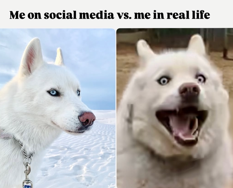 Me on social media vs. me in real life