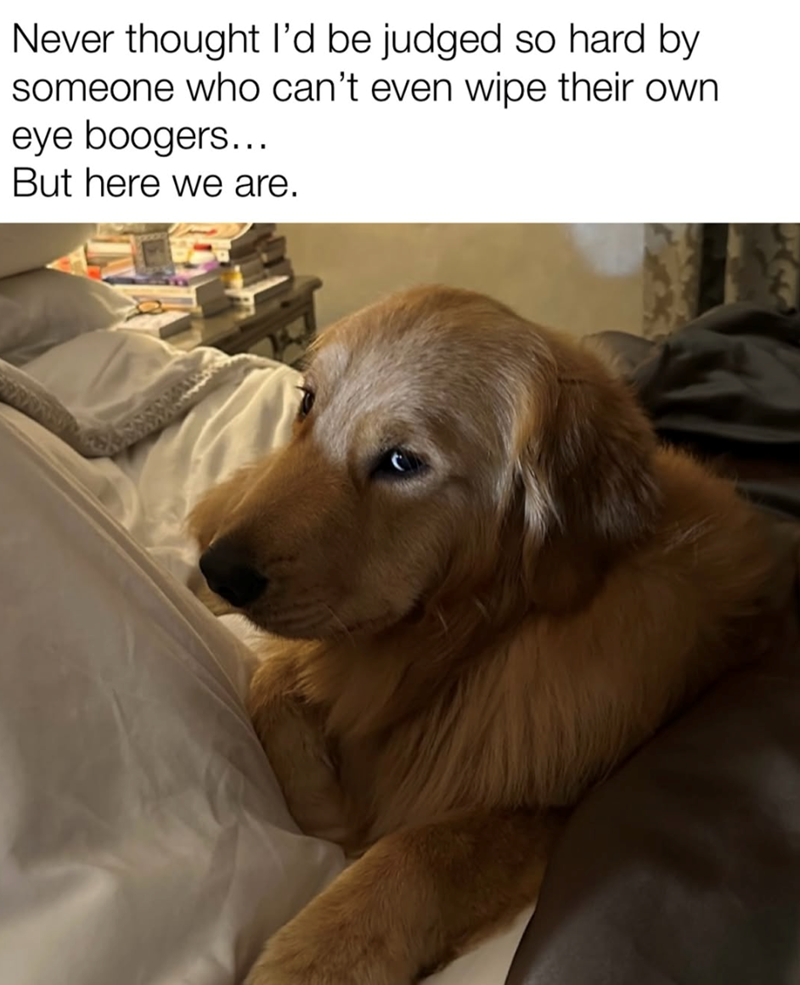 Never thought I'd be judged so hard by someone who can't even wipe their own eye boogers... But here we are.
